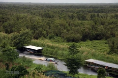 Développer l'écotourisme dans le Parc national d'U Minh Thuong