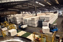 Binh Duong: Excédent commercial record de 6 milliards de dollars au premier semestre