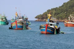 Kien Giang et Ca Mau coopèrent pour lutter contre la pêche illégale, non déclarée et non réglementée