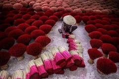 Le village d'encens de Quang Phu Câu retrouve ses couleurs