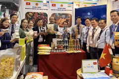 Dak Lak présente ses produits à la Foire commerciale internationale de l’Inde