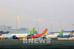 Bamboo Airways: Compagnie aérienne la plus ponctuelle au Vietnam en novembre