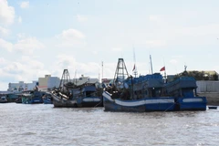 Bac Lieu s'efforce de supprimer le "carton jaune" sur la pêche INN