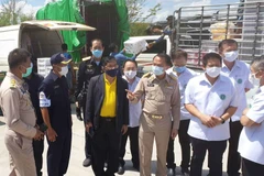 COVID-19: Situation épidémique en Thaïlande, en Indonésie et aux Philippines