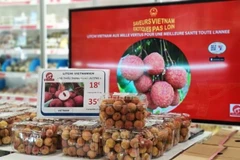 Promouvoir le rôle des Viêt kiêu dans la promotion des produits vietnamiens à l'étranger