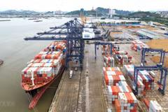 Le Vietnam mobilise des capitaux d'investissement pour développer sa flotte de conteneurs