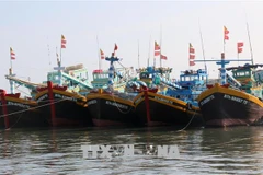 INN: Binh Thuan est déterminée à traiter strictement les violations