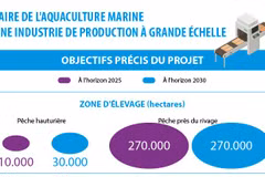 Faire de l'aquaculture marine une industrie de production à grande échelle