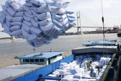 Le Vietnam table sur une hausse des exportations de riz en 2021 