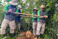 Quang Tri: neutralisation réussie d'une bombe MK81 de 119kg