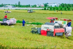 Aide australienne dans le développement agricole au Vietnam