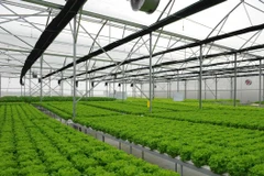 Innovation: des startups vietnamiennes partageront leurs expériences à AsiaBerlin