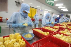 Coopération Vietnam-Japon dans le renforcement des chaînes de valeur des cultures sûres