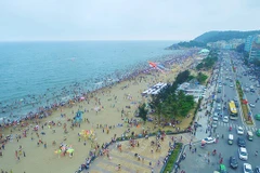 Dans le Centre, Thanh Hoa joue de ses atouts touristiques