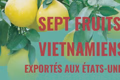 Sept fruits vietnamiens officiellement autorisés à exporter vers les États-Unis
