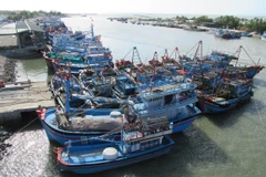 Ben Tre renforce la gestion des navires de pêche pour lutter contre la pêche INN