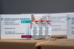 COVID-19: 1,2 million de doses supplémentaires d'AstraZeneca arrivent au Vietnam