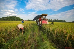 ONU: Le Vietnam partage son expérience en matière de réduction de la pauvreté
