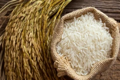 Le riz exporté vietnamien est désormais plus cher que celui de la Thaïlande
