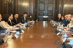 Délégués lors de la 9e consultation politique entre les ministères vietnamien et argentin des Affaires étrangères. Photo: VNA