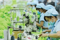 Le secteur de l'habillement et du textile s'attend à une vague d'IDE. Photo: laodong.vn