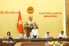 Le président de l'Assemblée nationale (AN) Tran Thanh Man prend la parole à la 38e réunion du Comité permanent de la 15e AN, tenue lundi 14 octobre à Hanoï. Photo: VNA