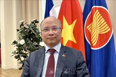 L'ambassadeur vietnamien en France Dinh Toan Thang. Photo: VNA