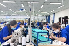 Les travailleurs de la Sarl international Tri-Viet avec un capital 100% japonais situé dans la zone industriel Tra Noc II - Ville de Can Tho. Photo: qdnd