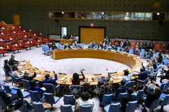 Le Vietnam appelle à la pleine mise en œuvre des obligations du droit international humanitaire en Éthiopie 