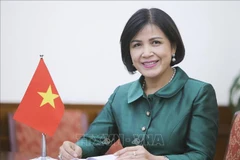 Le Vietnam souligne le rôle de la Conférence des Nations Unies sur le commerce et le développement