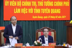 PM : Tuyen Quang nécessite le développement de l’industrie du bois