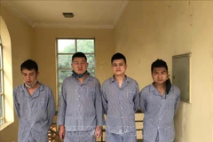 Quatre Chinois arrêtés pour entrée illégale dans la province de Tuyên Quang