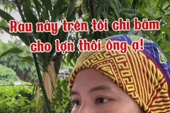 Des jeunes font la promotion de la culture et du tourisme de Lào Cai