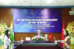 Pharmacie et énergies renouvelables, nouveau moteur pour les liens commerciaux Vietnam-Inde 