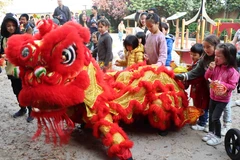 Atmosphère chaleureuse de Journée de la famille vietnamienne en Belgique