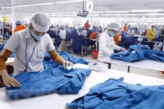 Les entreprises autrichiennes attendent des opportunités sur le marché vietnamien