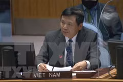 Le Vietnam espère l'achèvement rapide de l'enquête de l'UNITAD sur les crimes commis par l'EIIL en Iraq