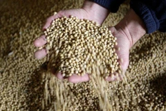 Le Mercosur veut devenir le principal fournisseur de produits alimentaires de l'ASEAN