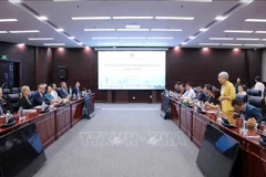 La séance de travail entre Da Nang et la délégation suédoise. Photo : VNA