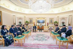 Le vice-président de l'AN Nguyen Khac Dinh rencontre le sultan et le président du Conseil législatif de Brunei