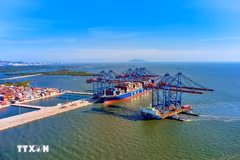 Les activités d'import-export au port en eau profonde de Gemalink. Photo : VNA