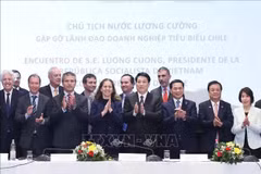 Le président Luong Cuong rencontre des chefs d'entreprise chiliens typiques. Photo : VNA