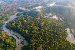 Vue de haut sur le parc national de Cat Tiên. Photo: Hoa Anh