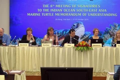 Conservation des tortues marines : la 8ème réunion des États signataires de l'IOSEA MoU à Da Nang