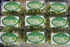 Les raisins verts de Ninh Thuan sont vendus sur la plate-forme d'e-commerce Sendo