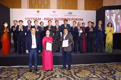 Vietnam-Inde : stimuler le potentiel de la coopération dans le commerce et l'investissement