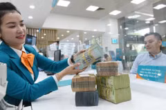 Le Vietnam cherche à attirer plus de ressources au service des objectifs de développement vert
