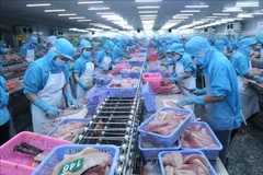 L'atlas des entreprises aquacoles vietnamiennes sera mis à jour