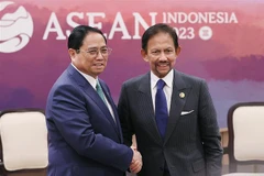 Le Premier ministre Pham Minh Chinh rencontre le sultan de Brunei