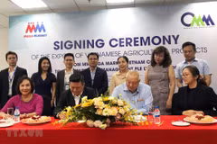Promotion des exportations de produits agricoles vietnamiens vers Singapour